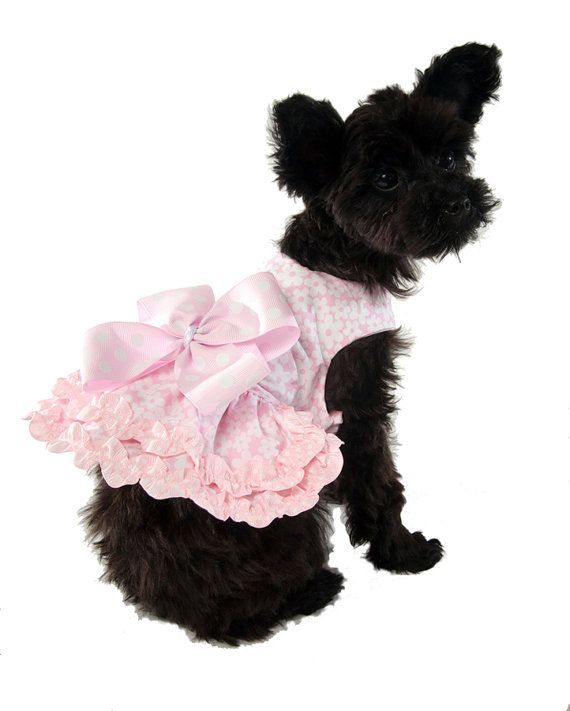 Платье для собак розовое цветы р.16