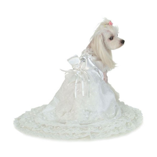 Платье свадебное для собак белое р.xl