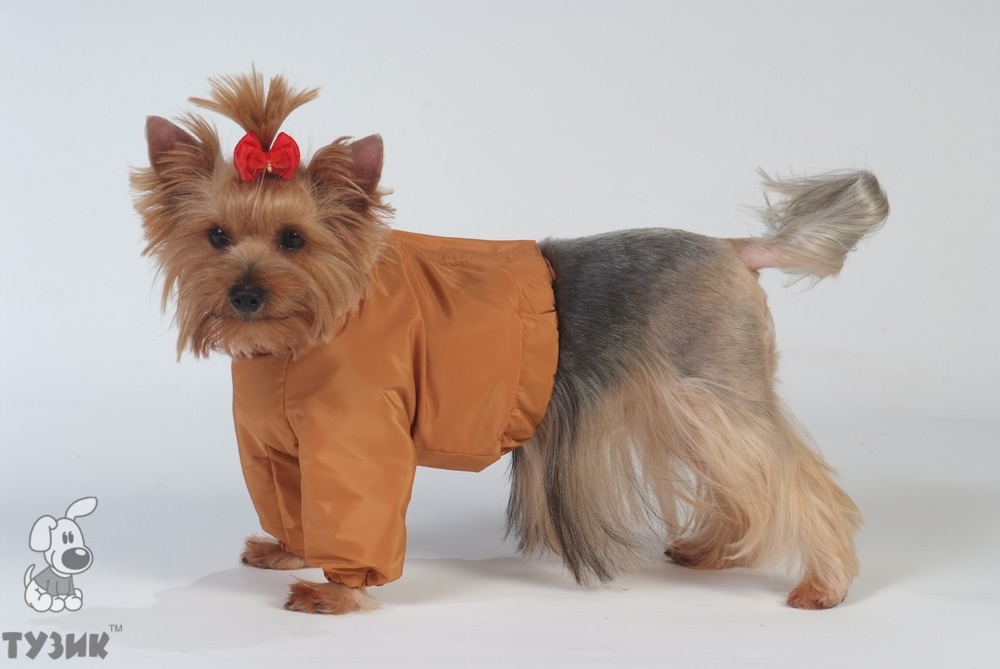 Куртка теплая для собак девочек китайская хохлатая Тузик плащевка+флис
