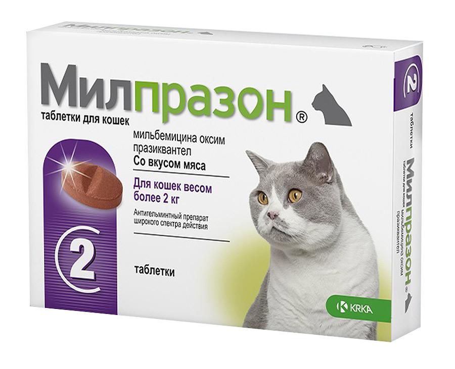 Милпразон таб для кошек от 2кг 16 мг+40мг n2