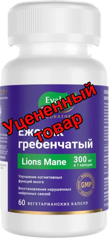Ежовик Гребенчатый капс N 60